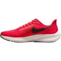 Air Zoom Pegasus 39