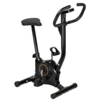 Bicicleta Ergométrica Vertical Gallant Trainer