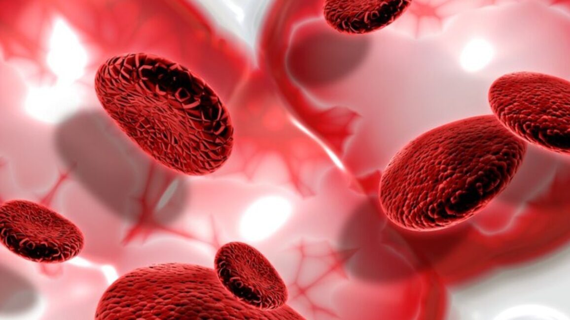 Vitamina K2 para Calcificação Arterial