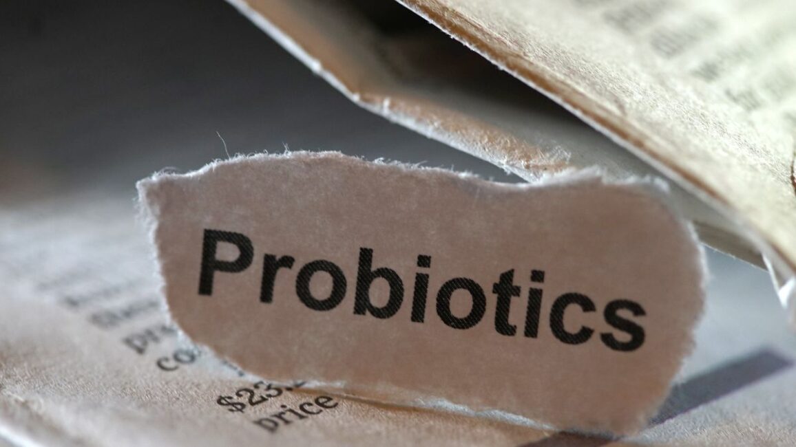 probióticos