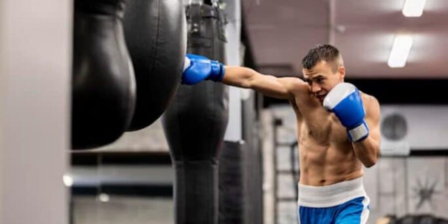 Saco de Pancada: Como Escolher o Ideal para Treinar em Casa 9 Saco-de-Pancada
